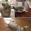 장성세탁소 | 가장 넓은 길은 언제나 내 마음속에