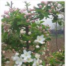 송아리농장 이미지