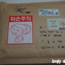 레이지엔젤 이미지