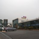 그린한우