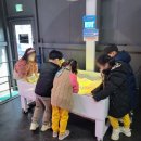 샘물숲어린이집 네이버블로그