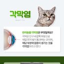 서현 동물병원 이미지