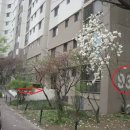 진명프라자 이미지