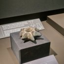 신종목장 이미지