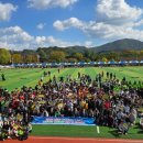 삼손태권도예절관 이미지