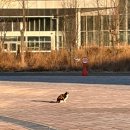 남경회식당 이미지