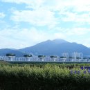 하단동1240 이미지