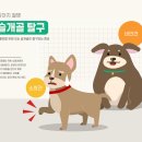 모코동물의료센터 이미지