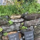 외암리 마중 이미지