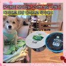 풀무원 요거트 그릭시그니처 &amp; 다논 요프로 고단백 프로틴 무설탕 칼로리 비교 내돈내산 후기