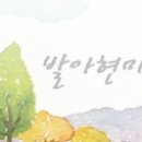 조이스넥
