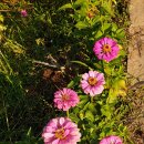 함안땅공인중개사사무소 이미지