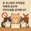 대구 동구 동네미용실 빈티지펌 성지 &#34;샴푸미용실&#34; 후기 [내돈내산]