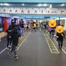 부개 팀 타이거 복싱 짐 이미지