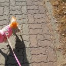 일이삼먹방치킨 이미지