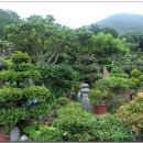 보옥민박 이미지