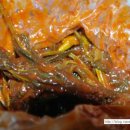 곤이 농장 이미지