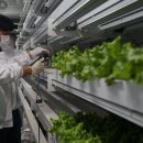 연서농장 이미지