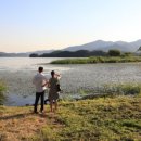 두물머리 이미지