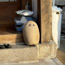 마피아 떡볶이 군산점 | 연초엔 만남이 많아