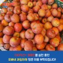 오빠네 과일 야채 이미지