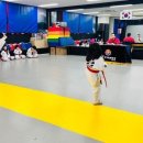 월드태권도장 이미지