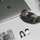키다리아저씨사진관영종점
