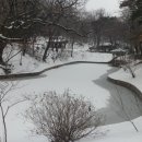 비원 이미지