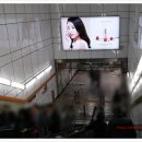 와이드임팩트 이미지