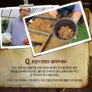 커피나무`S