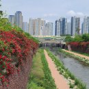 장미정원 이미지