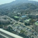 농림축산검역소 앞 네이버블로그