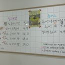 오셔젤라또