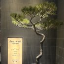 이태원돼지숯불갈비 이미지