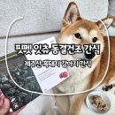 안녕, 강아지 | 잇츄 제주산 흑돼지 강아지동결건조간식 솔직 후기