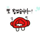 동네오빠닭짬뽕 이미지