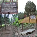 두동편백마을 이미지