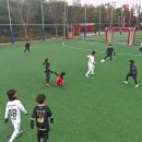 20251203(연습경기) 부산아이파크u8 vs 비씨풋볼 이미지