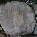 완도수목원 가로수길 이미지