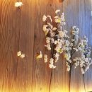 스시와다 이미지