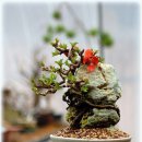 석부농장 이미지