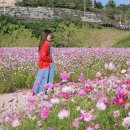 은행나무숲 주차장 부근 이미지