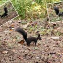 중앙탑공원 이미지