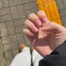 모리셔스브라운 관저점 이미지