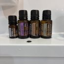 멍미용 | 전주 애견미용 아로멍｜위생미용+목욕 만족 후기