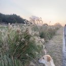 상모리-20 | 2025 제주도 모슬포 방어축제 후기(주차 꿀팁) ,인근 용머리해안, 송악산 둘레길 산책