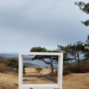 골프존카운티 감포 | [골프장 도장 찍기 5] 골프존 카운티 감포 라운드 후기/ 경북 경주 골프장/ 바다 뷰 최고