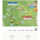 점봉산 곰배령 코스1 뚜벅이 알레버스로 다녀온 후기 (숲나들e 사전예약 필수)
