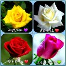 29)5. 莊子장자 雜篇잡편 第29篇 盜跖(도척)(第5章)/韓유네스코,메카협정,초대형 합병,스페이스X,업데이트,경유딜,플라잉카,정제설비 이미지