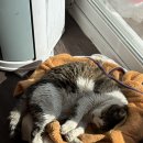 꿀잼 | 포천 포프라자 아이스다이빙 꿀팁 가격 준비물 특별한 프리다이빙 꿀잼 후기